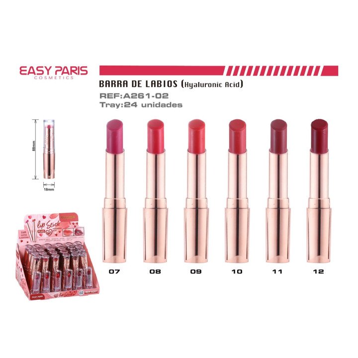B.DE LABIOS 24H C/ACID.HYALURONICO 24/U