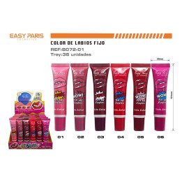 TINTA LABIAL LIPGLOSS FIJO 36/U