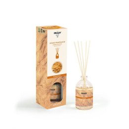 MIKADO AMB. PUMPKIN PRADY 100ML