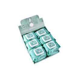TOALLITAS DESMAQ. WIPE PISTACHIO 12/U 10125E