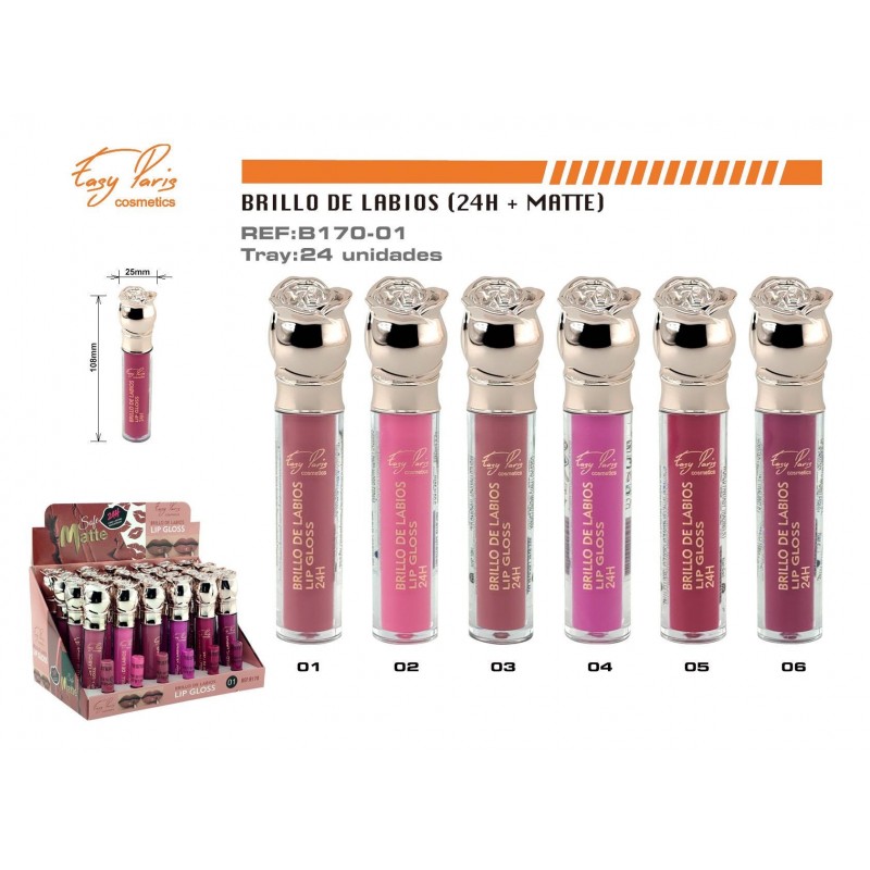 LIP GLOSS 24H MATE. 24/U