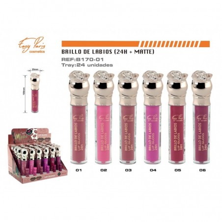 LIP GLOSS 24H MATE. 24/U