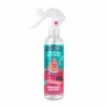 THE FRUIT COMPANY AMB SPR SANDIA. 250ML