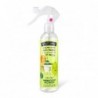 THE FRUIT COMPANY AMB SPR MELON. 250ML