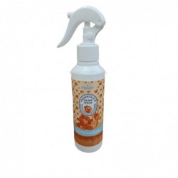 PRADY AMB.HOME SPRAY...