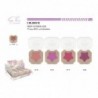 COLORETE MATTE 24/U