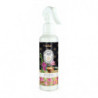 AMB.HOME SPRAY RITUAL DE SPA 220 ML PRADY