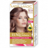 MISS MAGIC GOLDEN DREAMS 7.72 ROSE